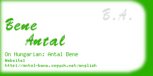 bene antal business card
